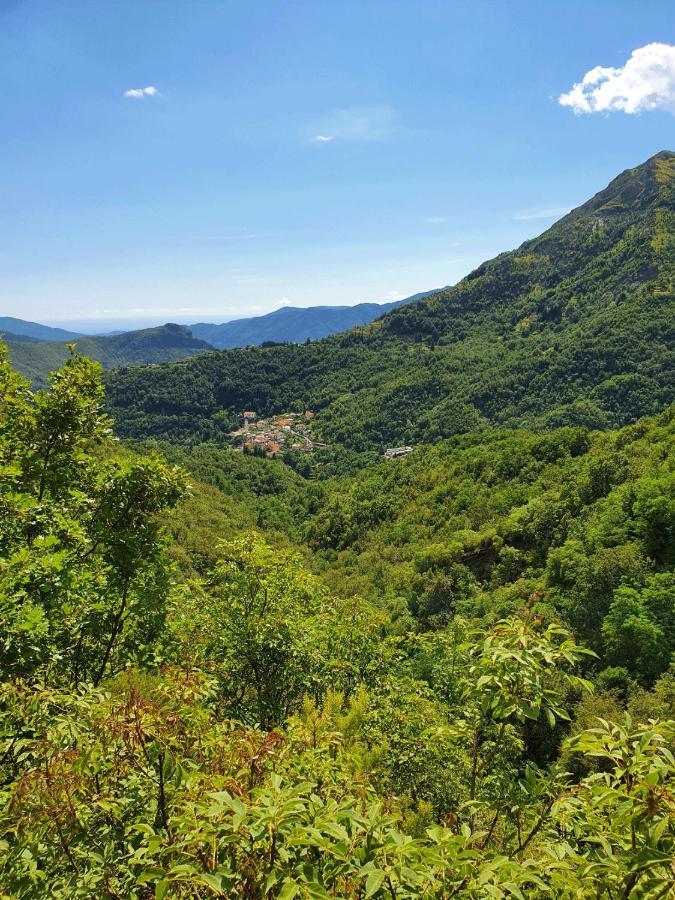 Il Bosco Di Campo Marzano Green & Sky Борцонаска Экстерьер фото