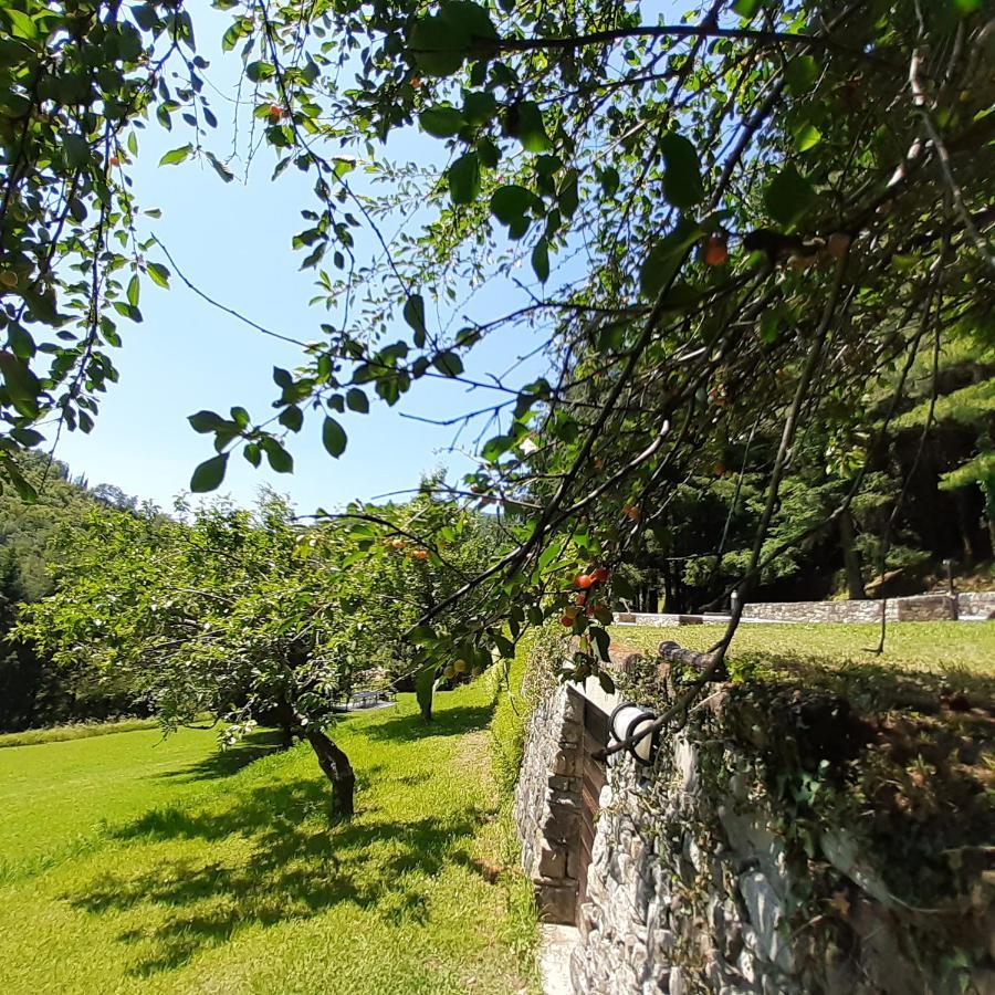 Il Bosco Di Campo Marzano Green & Sky Борцонаска Экстерьер фото