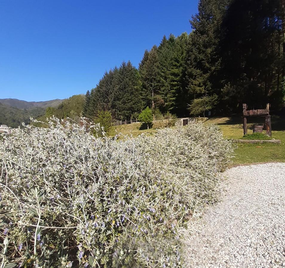 Il Bosco Di Campo Marzano Green & Sky Борцонаска Экстерьер фото