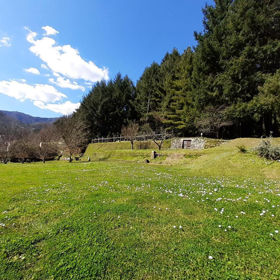 Il Bosco Di Campo Marzano Green & Sky Борцонаска Экстерьер фото