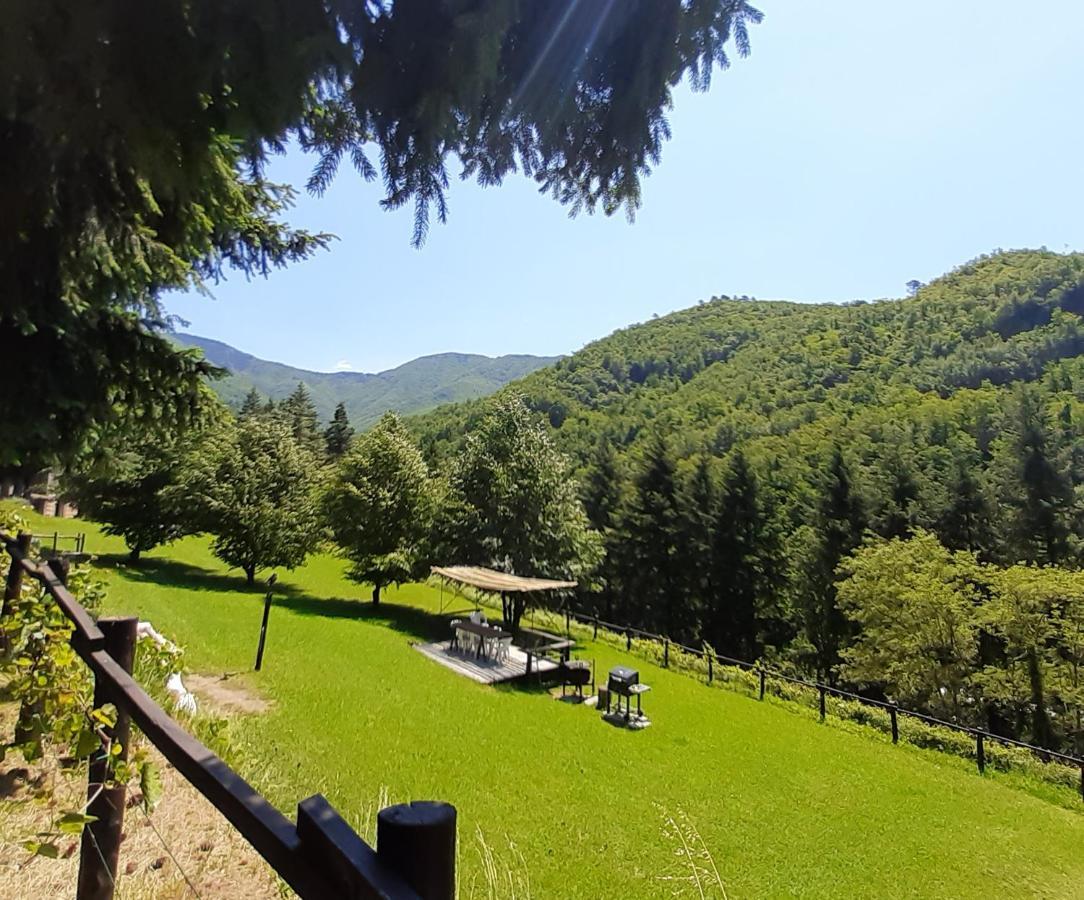 Il Bosco Di Campo Marzano Green & Sky Борцонаска Экстерьер фото